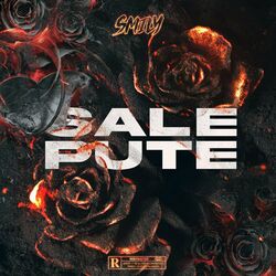 Cover of Sale pute
