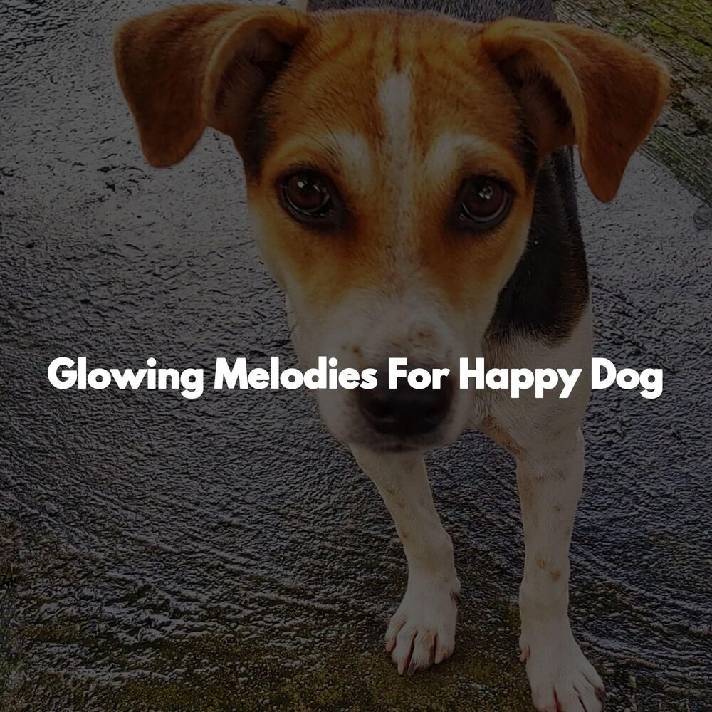 Picture of Glowing Melodies For Happy Dog