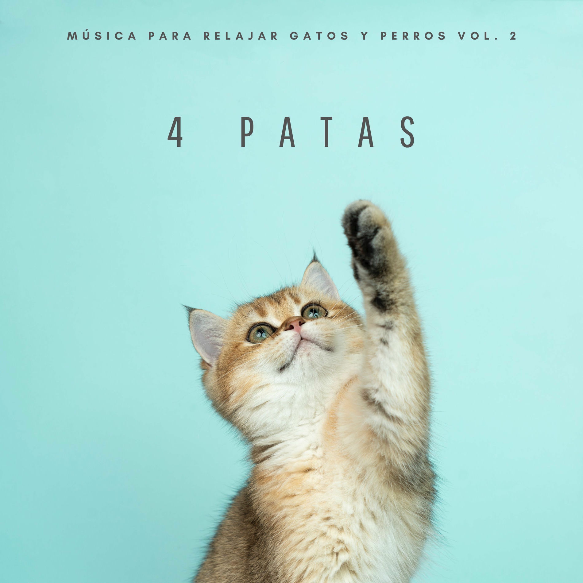 Album cover of 4 Patas: Música Para Relajar Gatos y Perros Vol. 2