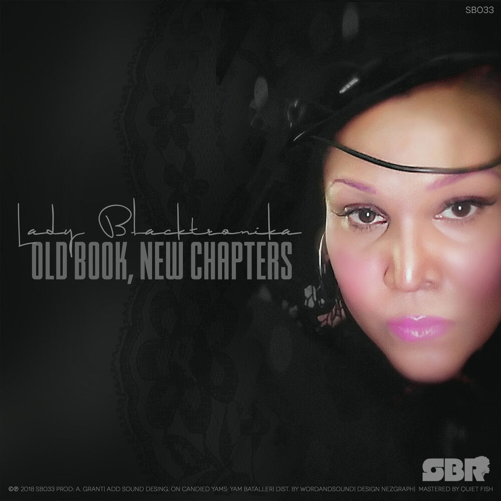 Picture of Old Book, New Chapters