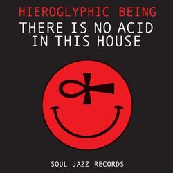 Cover of There Is No Acid In This House