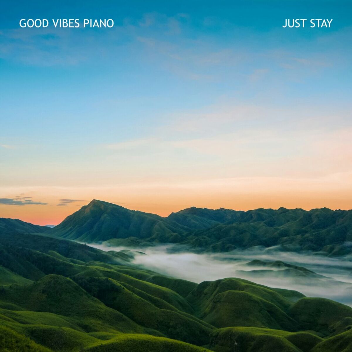 Album cover of Just Stay