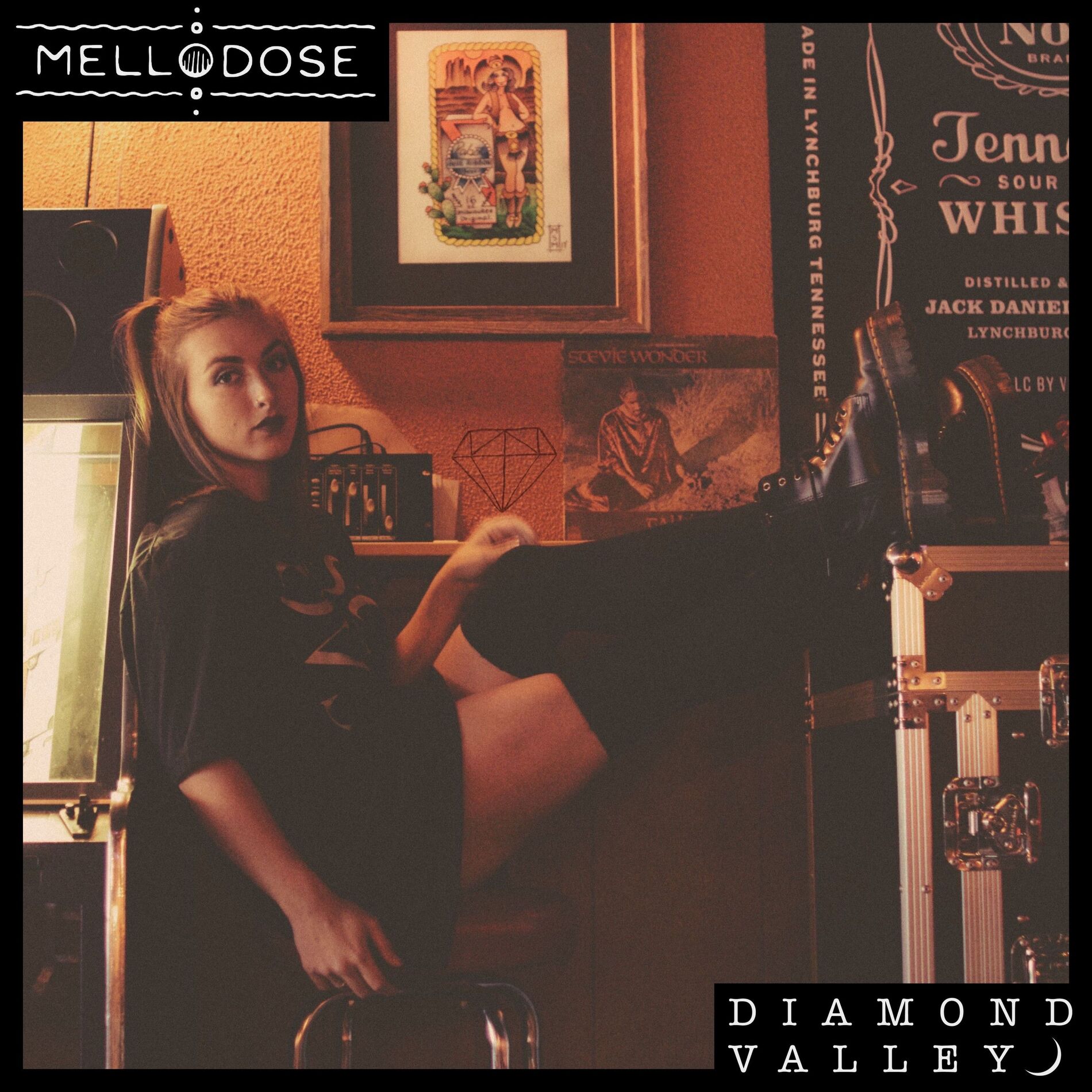 Album cover of DIAMOND VALLEY