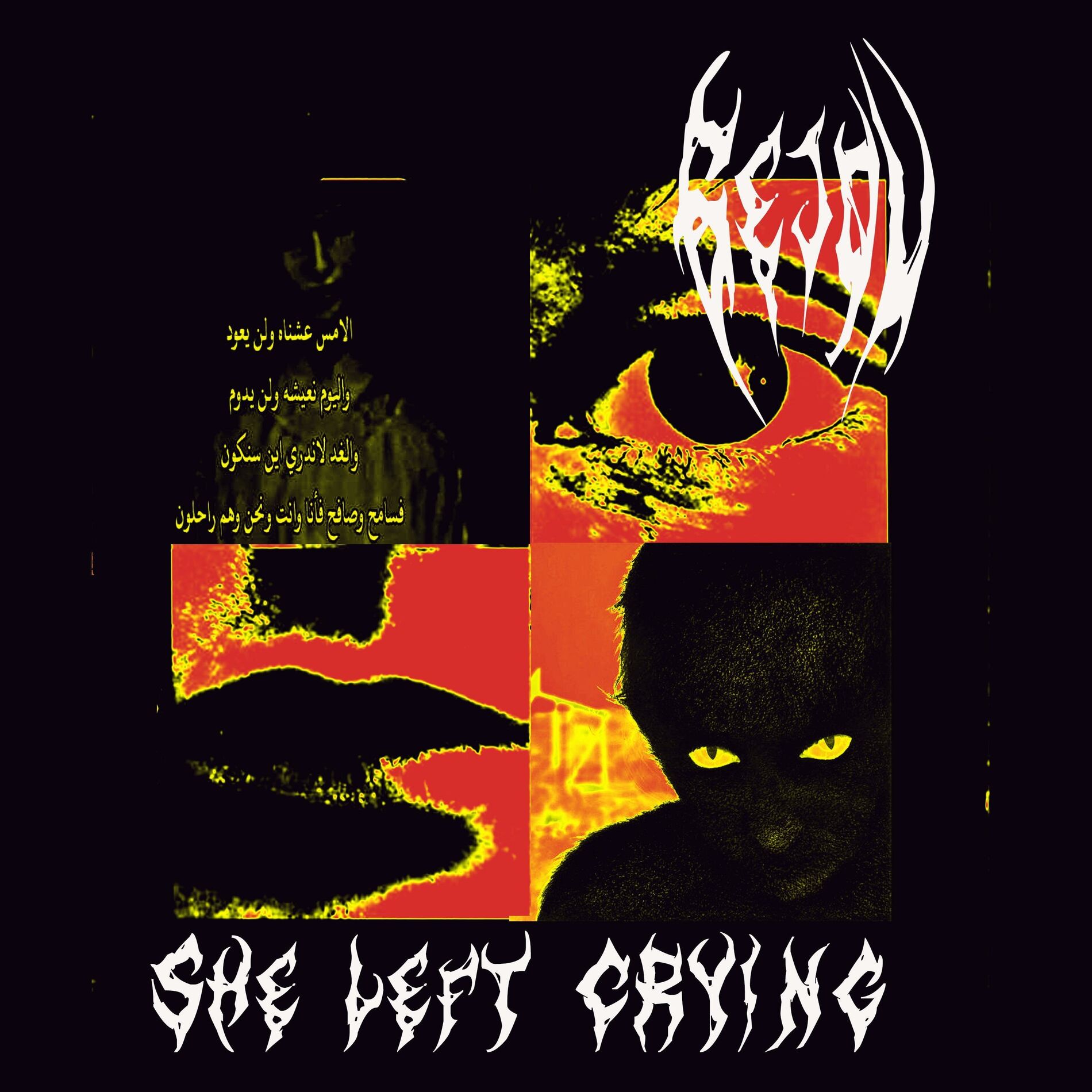 Album cover of She Left Crying