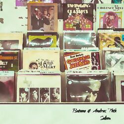 Cover of Salem