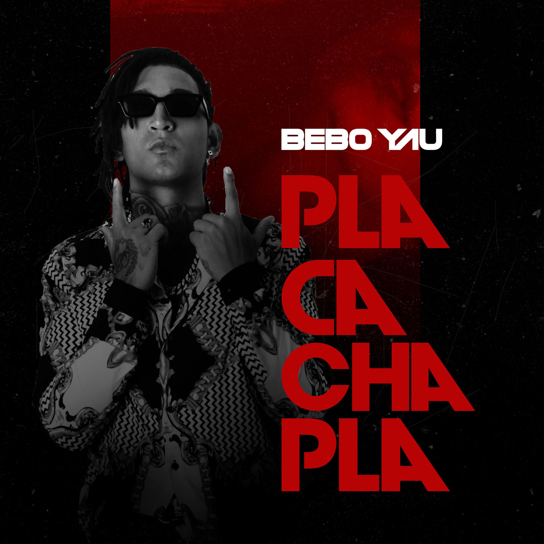 Album cover of Pla Cacha Pla (Porque no te pones en cuatro)