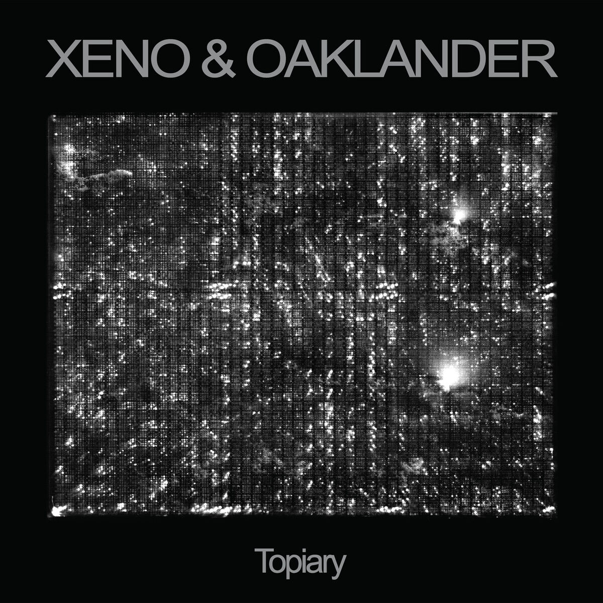 Album cover of Topiary