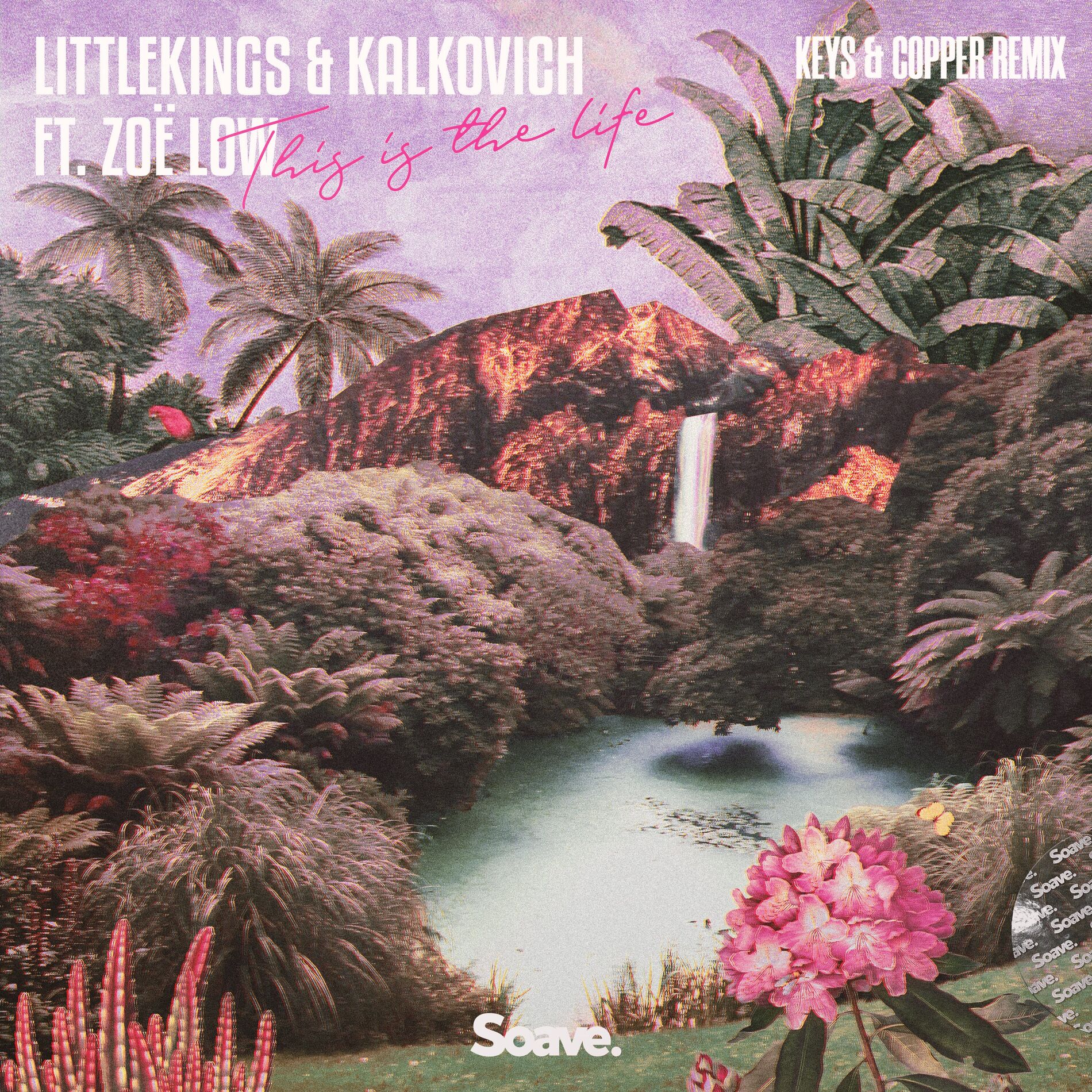 Album cover of This Is The Life