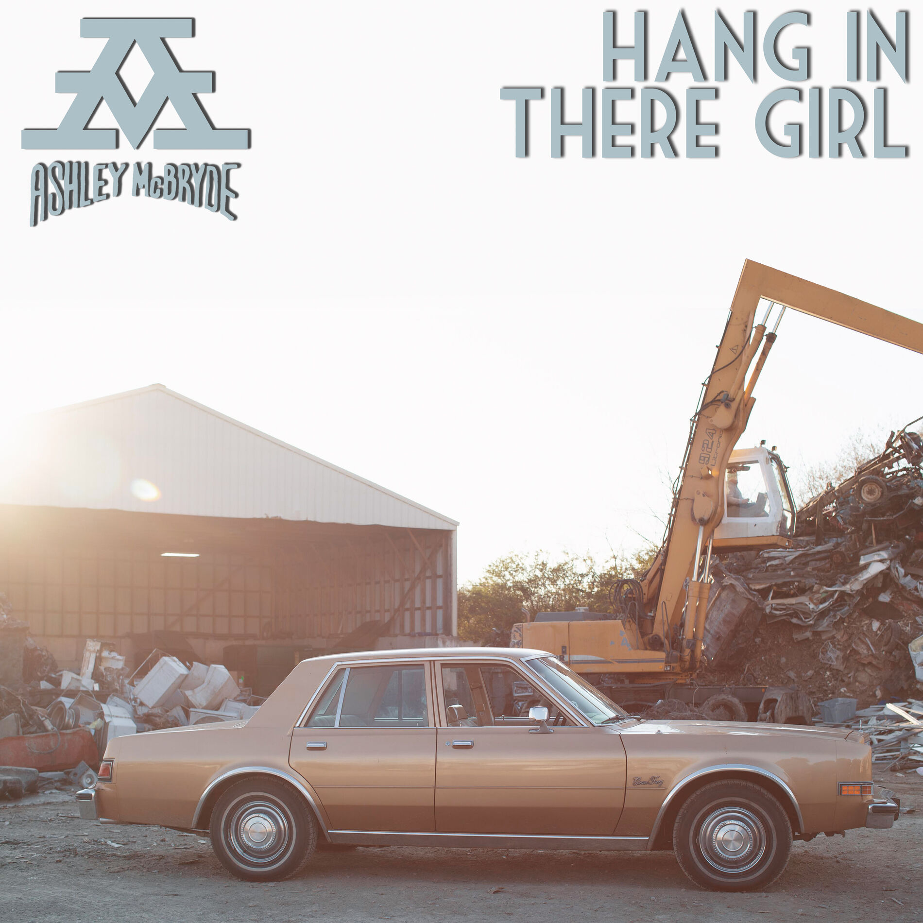 Album cover of Hang In There Girl