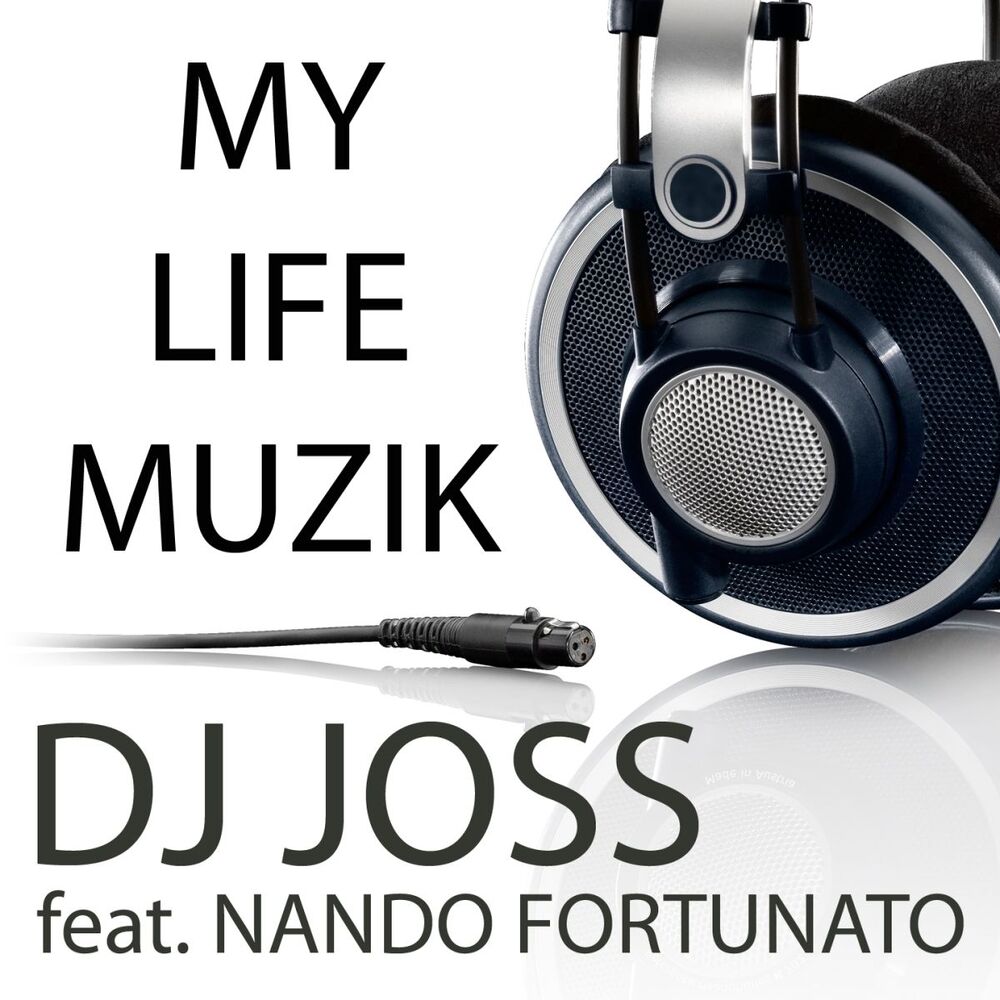 Picture of My Life Muzik