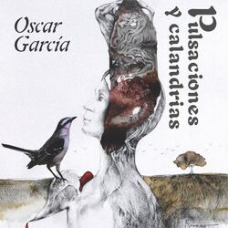 Cover of Pulsaciones y Calandrias