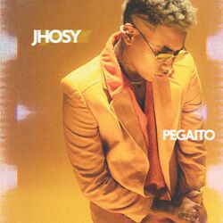 Cover of Pegaíto