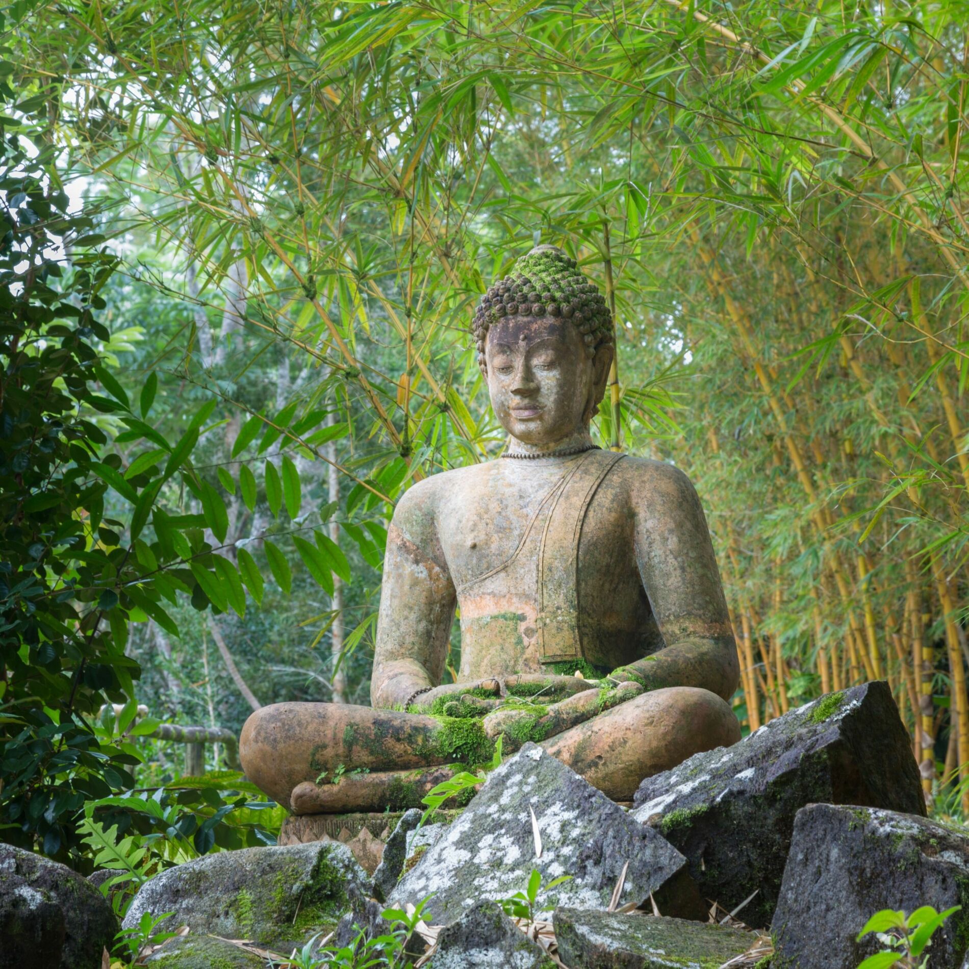 Album cover of Buddha's Garden