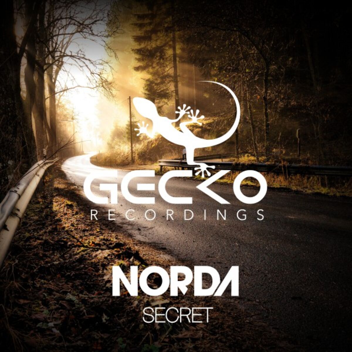 Album cover of Secret