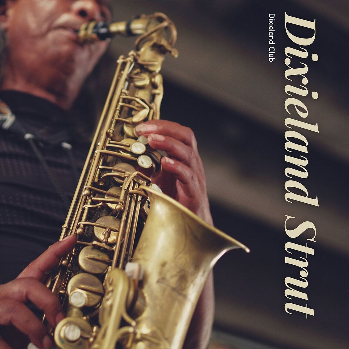 Album cover of Dixieland Strut