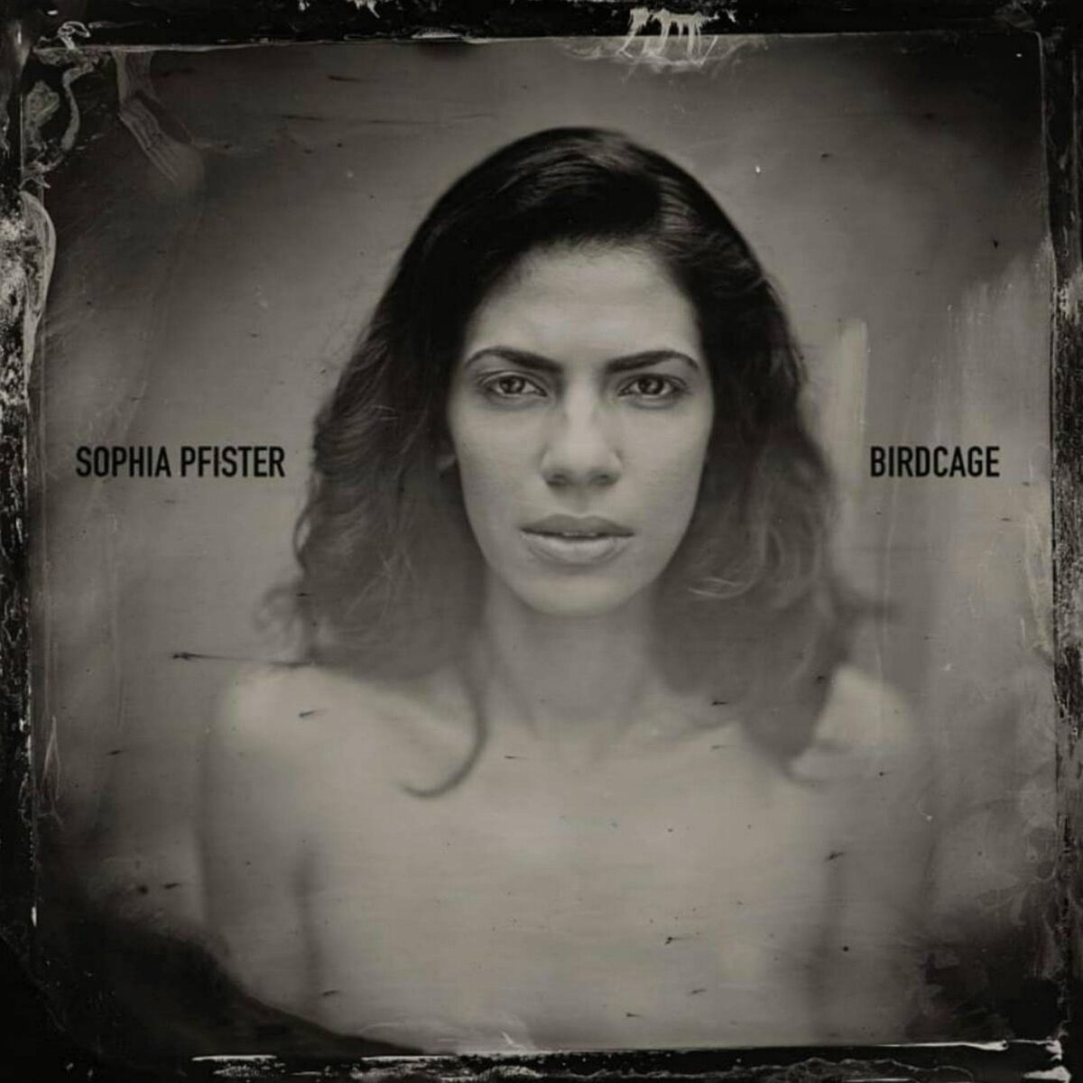 Album cover of Birdcage