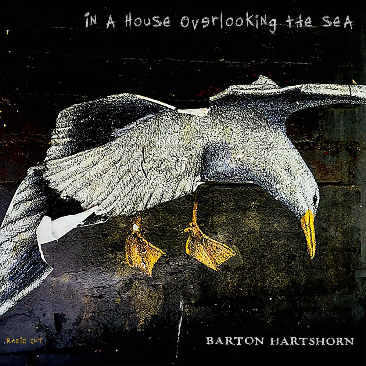 Album cover of In a House Overlooking the Sea (Radio Cut)
