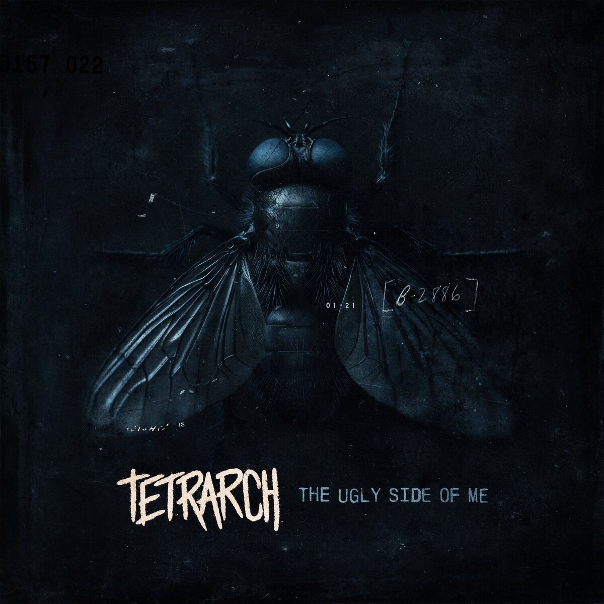 Album cover of Never Again (Parasite)