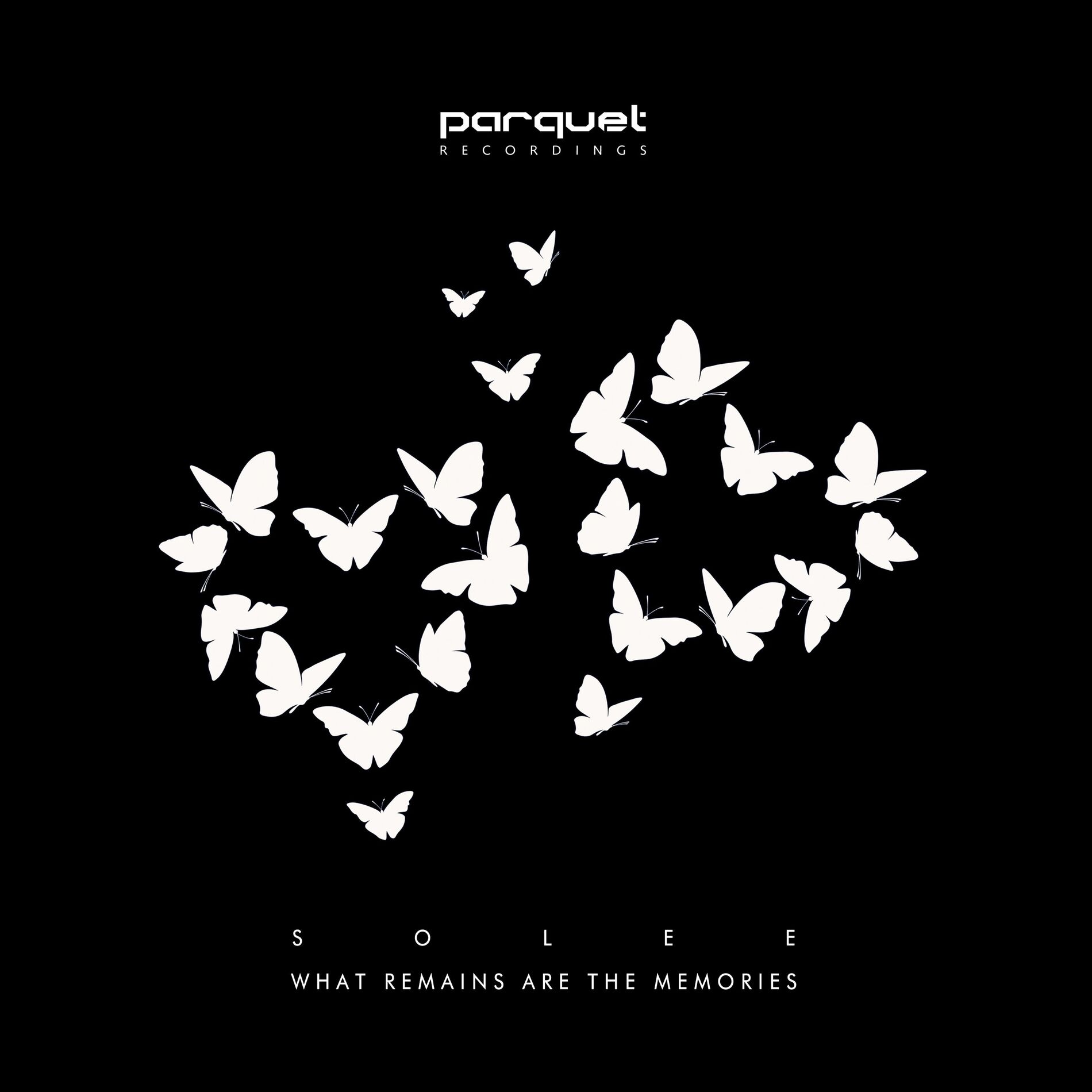 Album cover of What Remains Are the Memories
