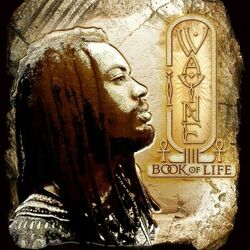 Cover of Book Of Life