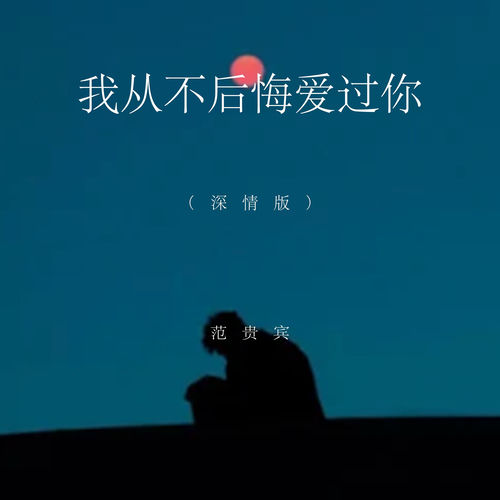 我从不后悔爱过你 (深情版)