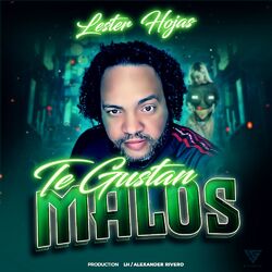 Cover of Te Gustan Malos