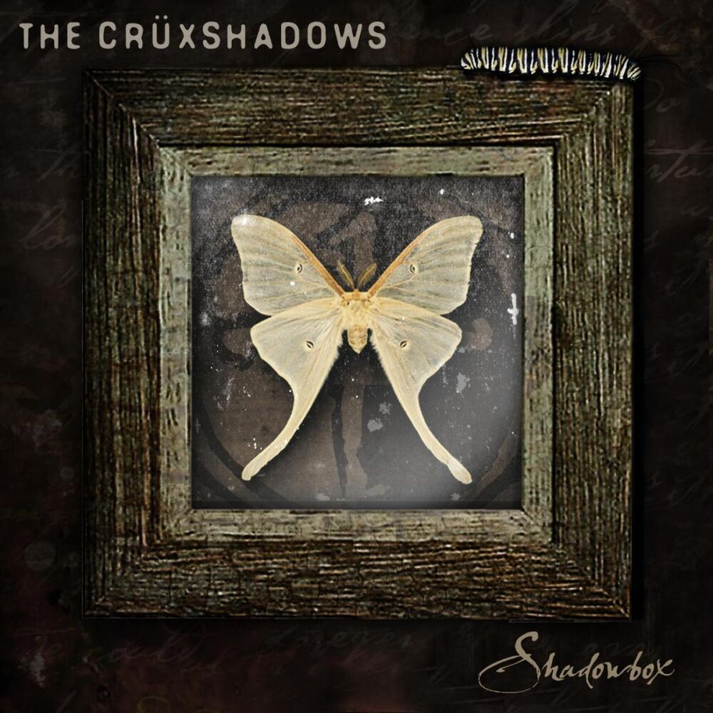 Picture of Shadowbox EP