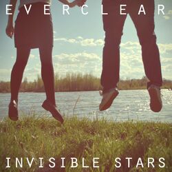 Cover of Invisible Stars