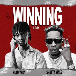 Cover of Winning (Remix)