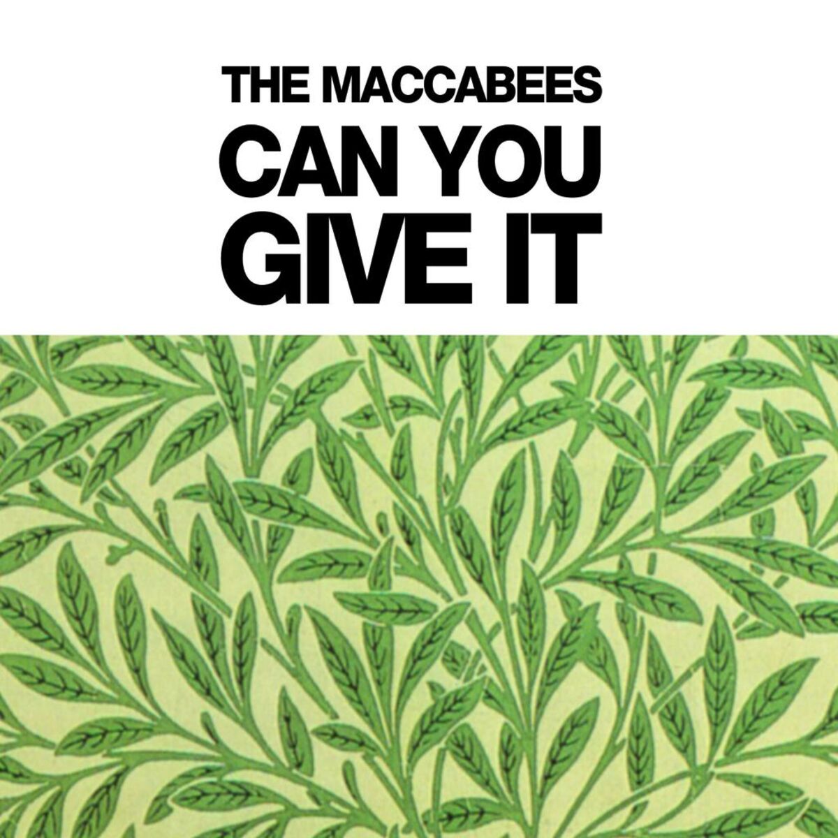 Album cover of Can You Give It (Digital Bundle)