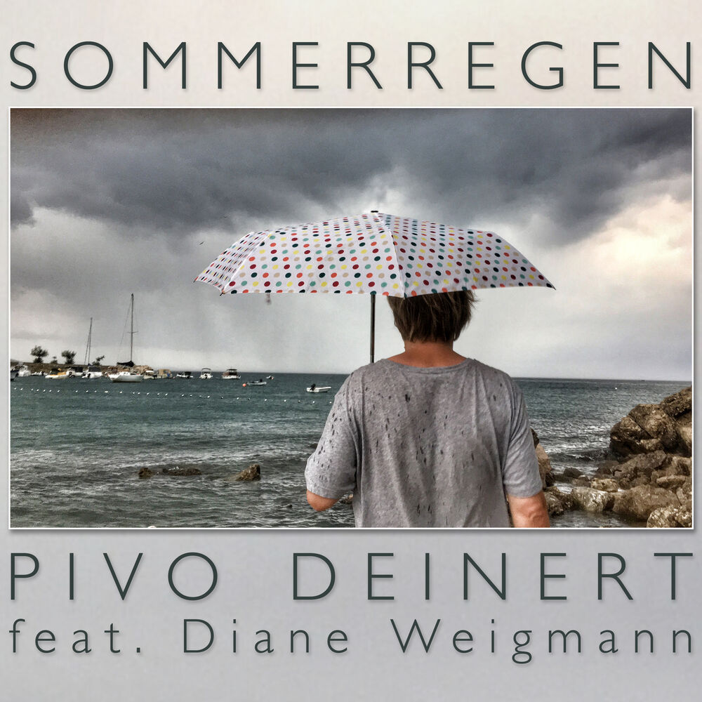 Picture of Sommerregen