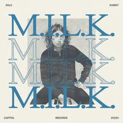Cover of Silly Rabbit