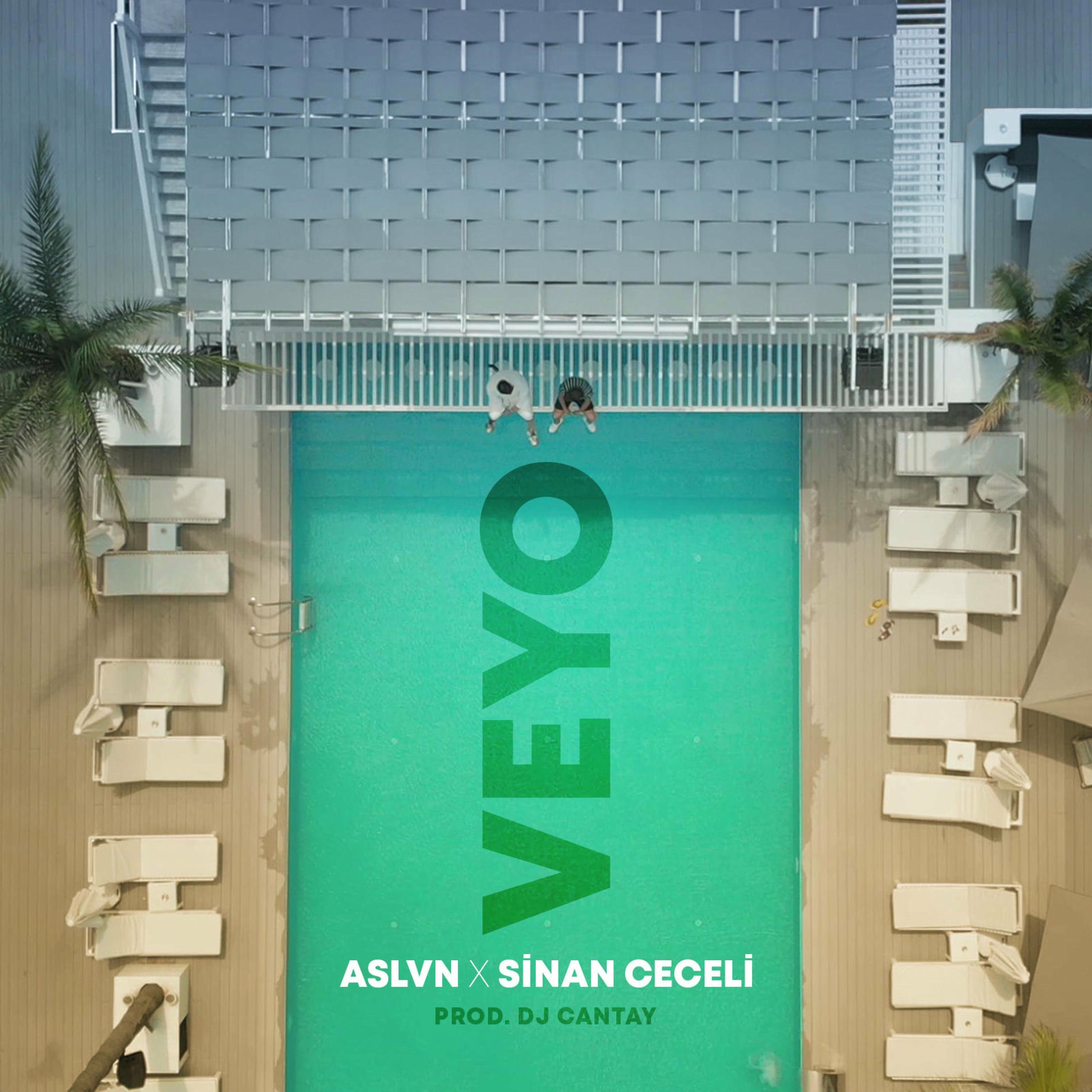 Album cover of Veyo