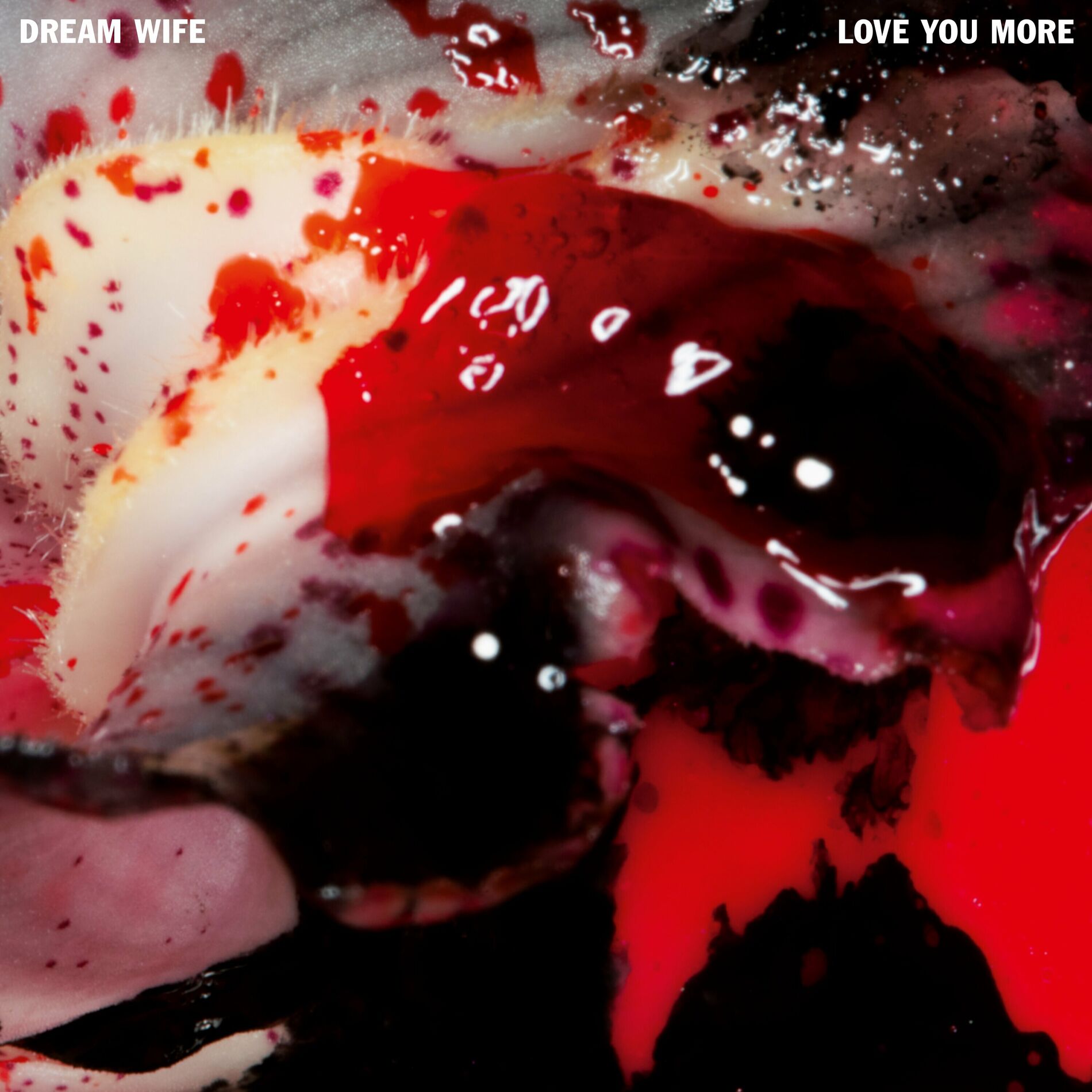 Album cover of Love You More