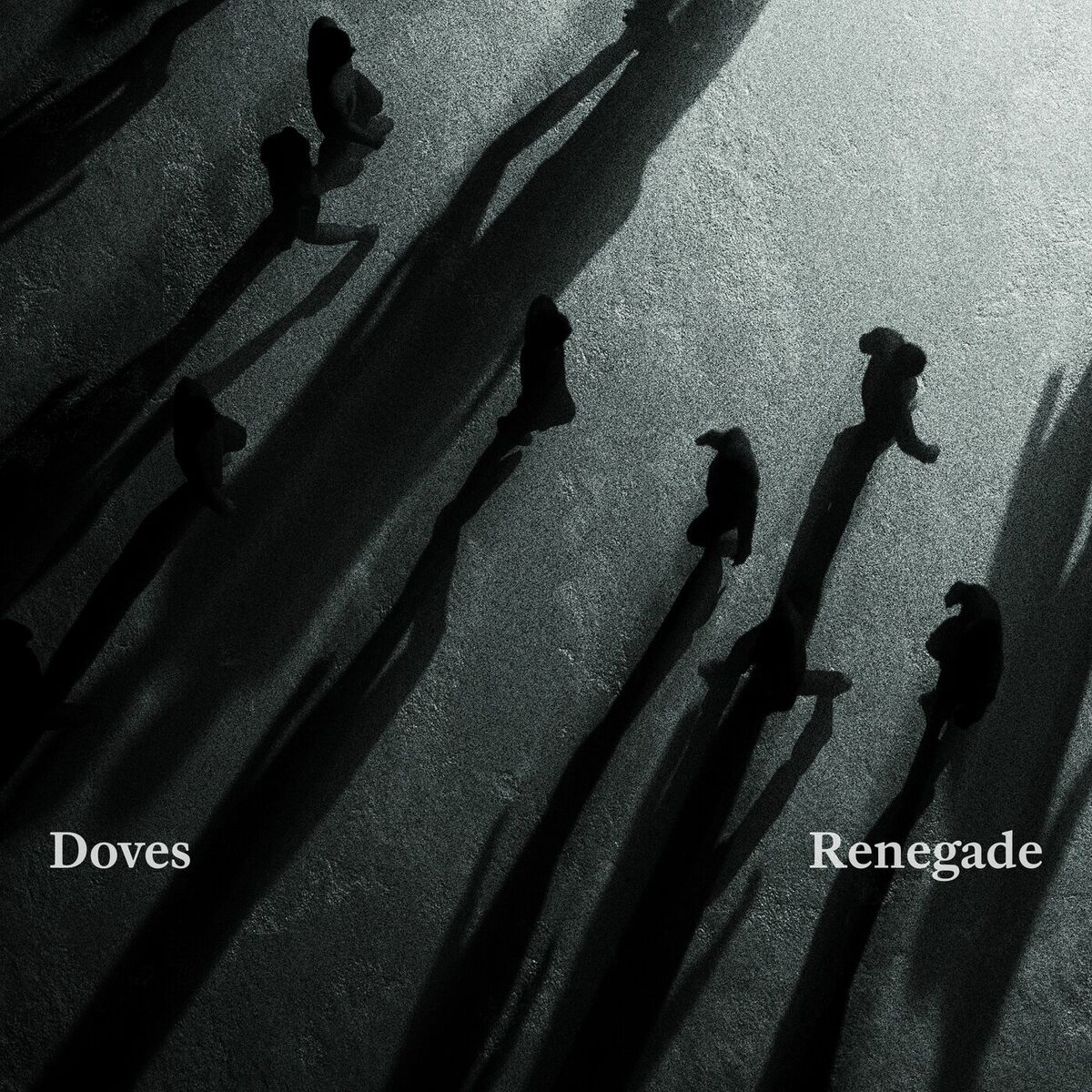 Album cover of Renegade