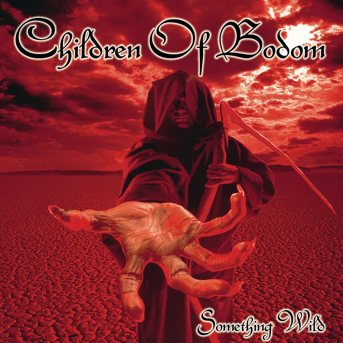 Album cover of In The Shadows