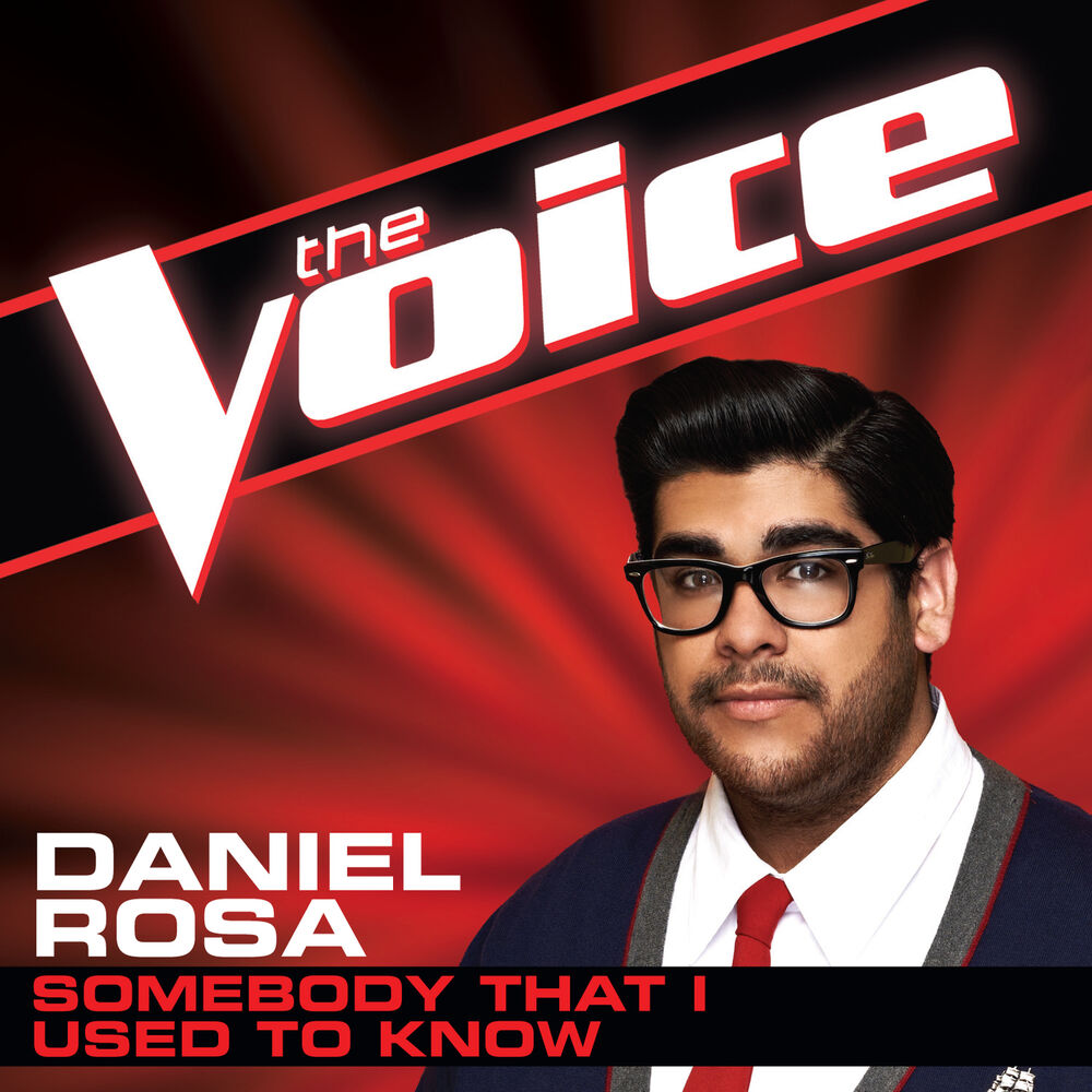Picture of Somebody That I Used To Know (The Voice Performance)