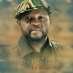 Cover of So Beautiful