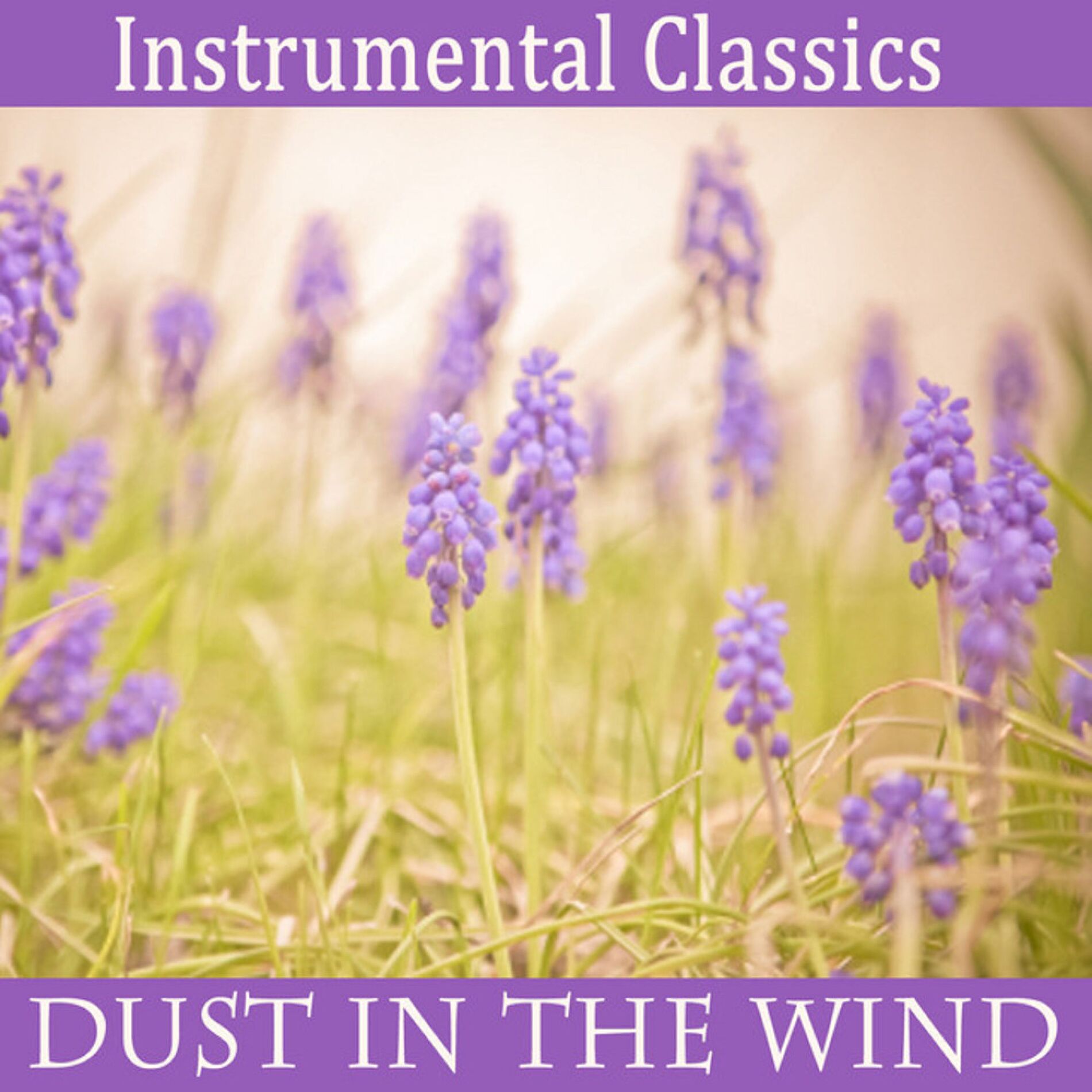 Album cover of Instrumental Classics: Dust in the Wind