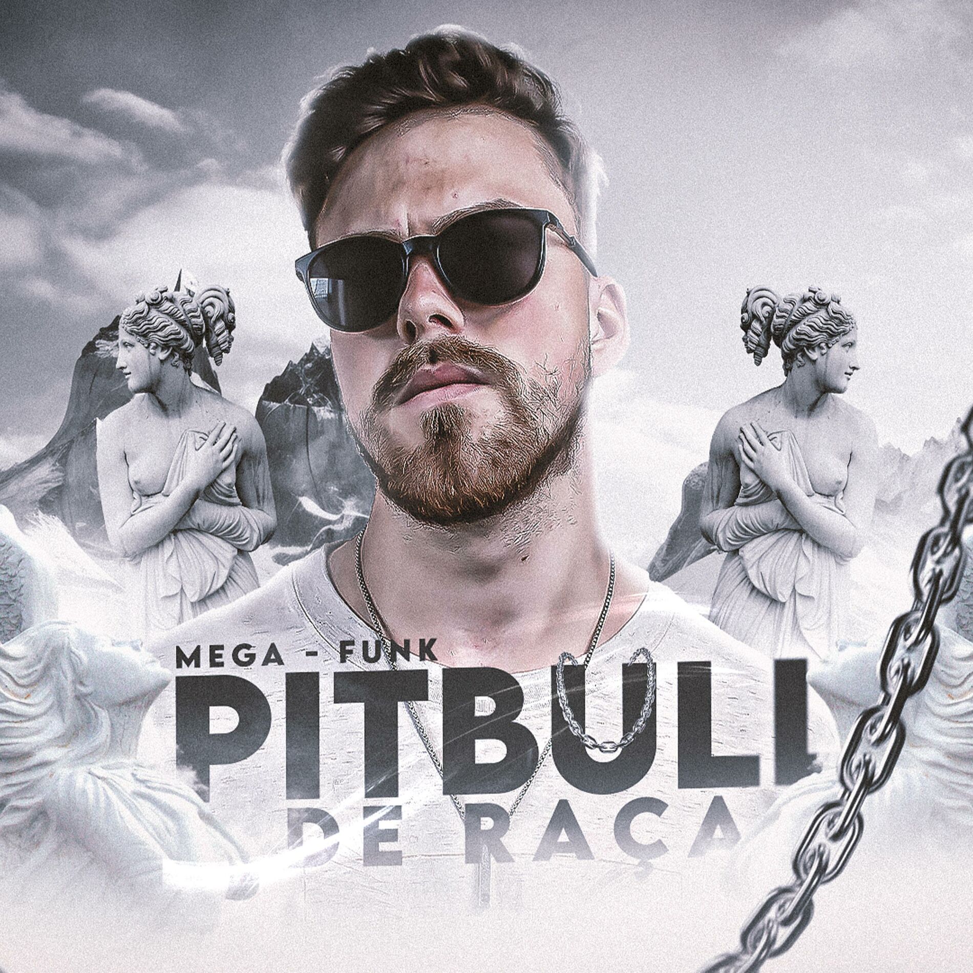Album cover of MEGA FUNK PITBULL DE RAÇA