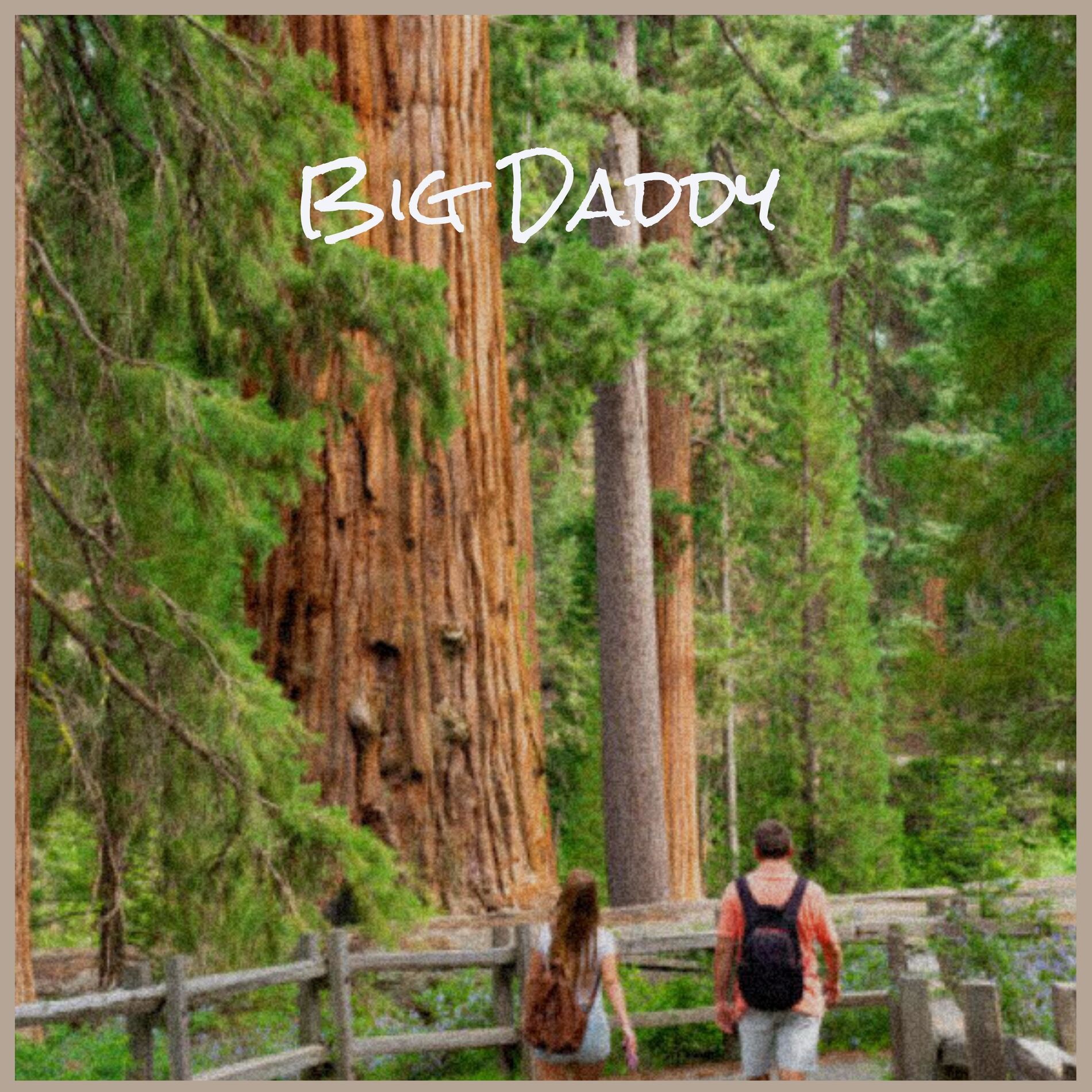 Album cover of Big Daddy