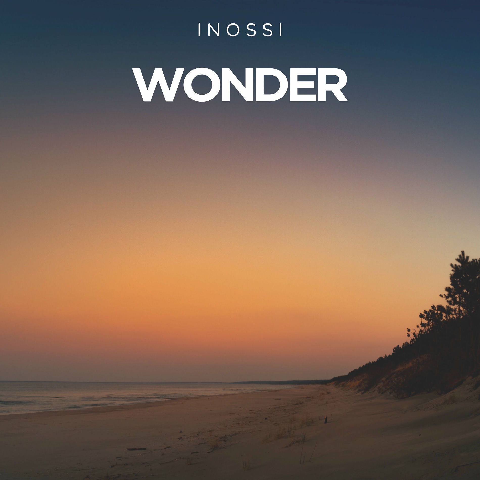 Album cover of Wonder