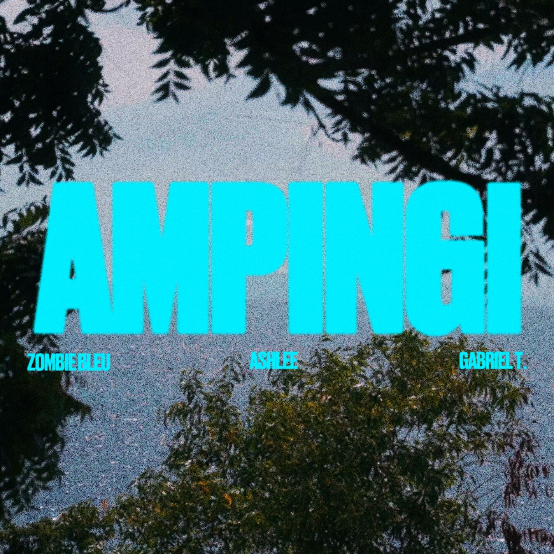 Album cover of Ampingi