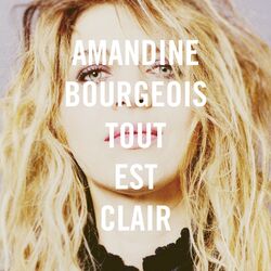 Cover of Tout est clair