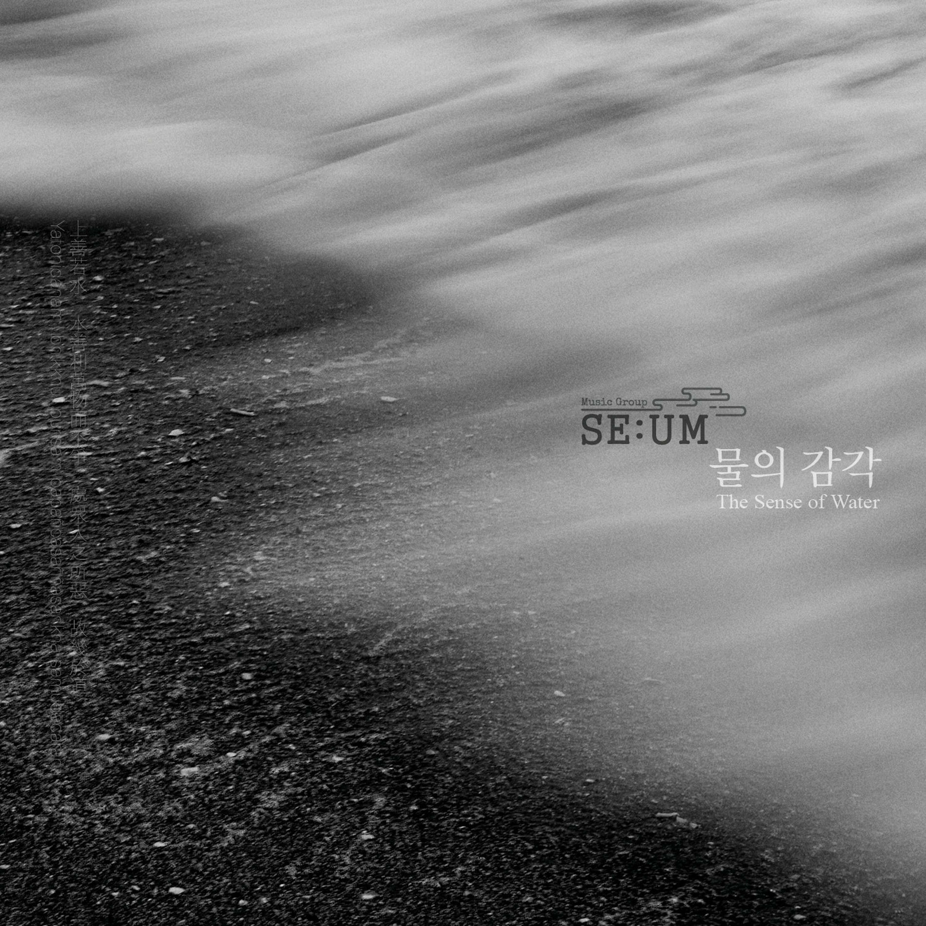 Album cover of The Sense of Water