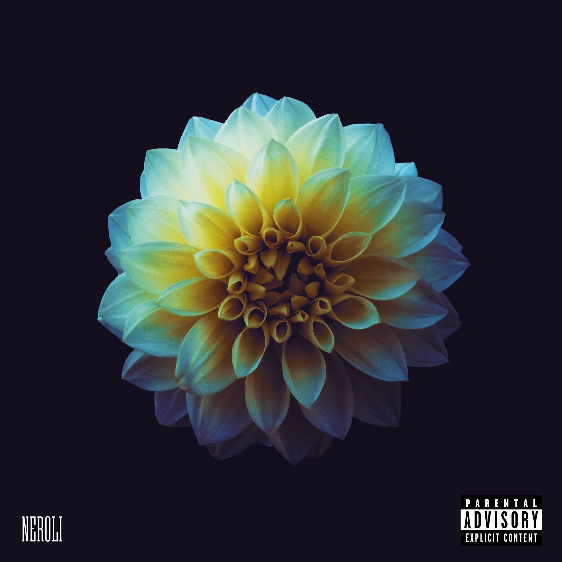 Album cover of Spectacle