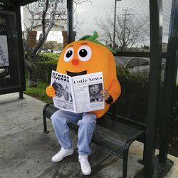 Cover of orange juice