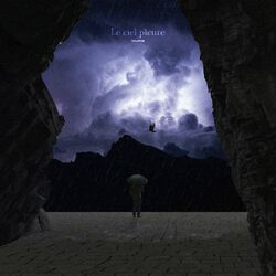 Cover of Le ciel pleure
