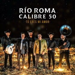 Cover of Tú Eres Mi Amor (Versión Regional Mexicana)