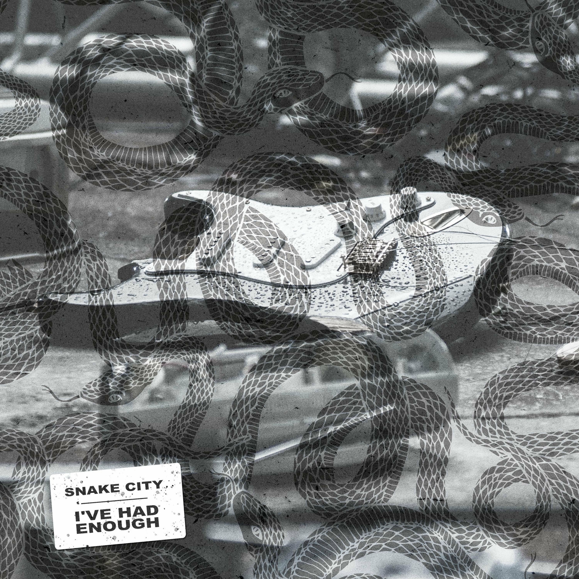 Album cover of I've Had Enough